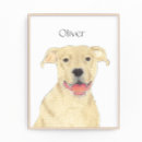 Search for pitbuls art Staffy