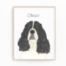 Search for black spaniel art English springer spaniel