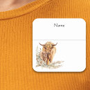 Search for highland cattle stickers Baby shower