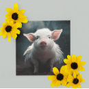 Search for when pigs fly postcards Piglet