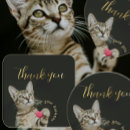 Search for kittens stickers Thank you