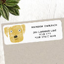 Search for labrador return address labels Pet