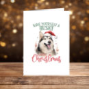 Search for funny husky cards Puppy