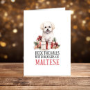 Search for maltese christmas cards Puppy