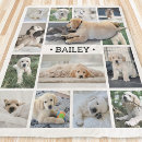 Search for black and white dog blankets Create your own