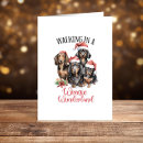 Search for dachshund christmas cards Happy pawlidays