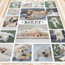 Search for black and white cat blankets Create your own