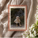 Search for brown thanksgiving invitations Modern