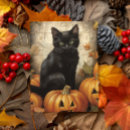 Search for vintage cat postcards Halloween