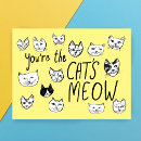 Search for cats meow birthday cards Kitty