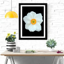 Search for anemones art Fine