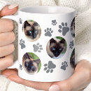 Search for grey cats mugs Photo collage