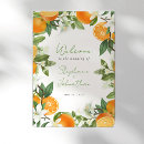 Search for mandarin oranges posters Greenery