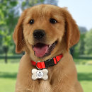 Search for fur baby mother Dogs