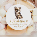 Search for dog wedding stickers Dog of honour