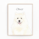 Search for american eskimo dog art Samoyed