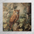 Search for owl tiles Forest