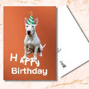 Search for bull terrier birthday cards Pets