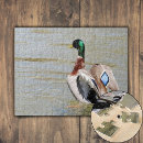 Search for mallard duck puzzles Nature