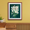 Search for painted daisies posters Daisy