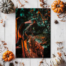 Search for gothic cat postcards Cemetery