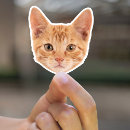 Search for stock dog stickers Budget