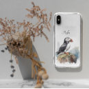 Search for puffin cases Iceland