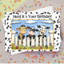 Search for dairy cow birthday cards Herd