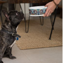 Search for hippie dog supplies Dachshund