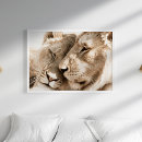 Search for lion posters Nature