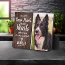 Search for pet memorials In loving memory