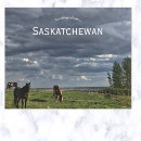 Search for saskatchewan postcards Province