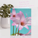 Search for lily flower note cards Lilies
