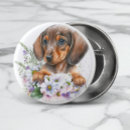 Search for dachshund badges Cute