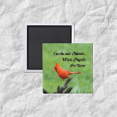 Search for appears magnets Cardinal