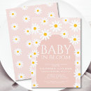 Search for pink daisy Modern