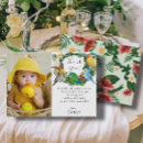 Search for tropical parrot cards Parrots