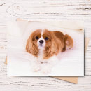Search for bed cards White