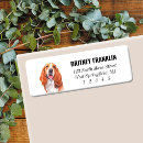 Search for basset hound return address labels Hush puppy