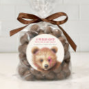 Search for cute wild animals stickers Watercolor