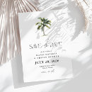 Search for palm tree save Summer
