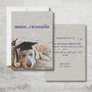 Search for diploma invitations Kindergarten
