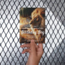 Search for funny lion birthday cards Jungle