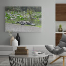 Search for water animal art River