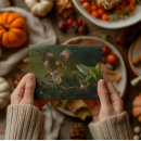 Search for mother and baby bird postcards Hummingbird