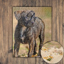 Search for dog picture puzzles Happy