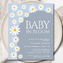 Search for blue daisy Floral