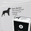 Search for brittany spaniel Pets
