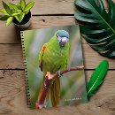 Search for mini notebooks Green