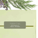 Search for high school graduation return address labels Graduate